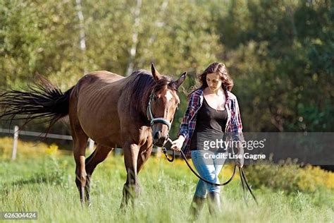 art of zoo horse|Lise Loves Horses First Time With Maverick Artofzoo 002